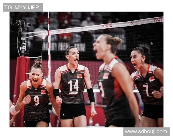 重庆排球队团队协作引发热议球迷对战术配合和默契度的不同看法