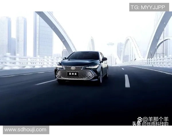 深圳网球队在洲际杯积分榜上以97分稳居第一名展现强劲实力