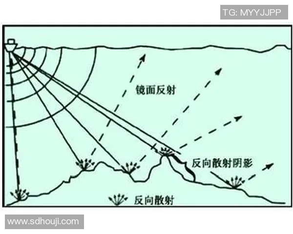 武汉篮球队耐力分析与提升策略的深度探讨与研究